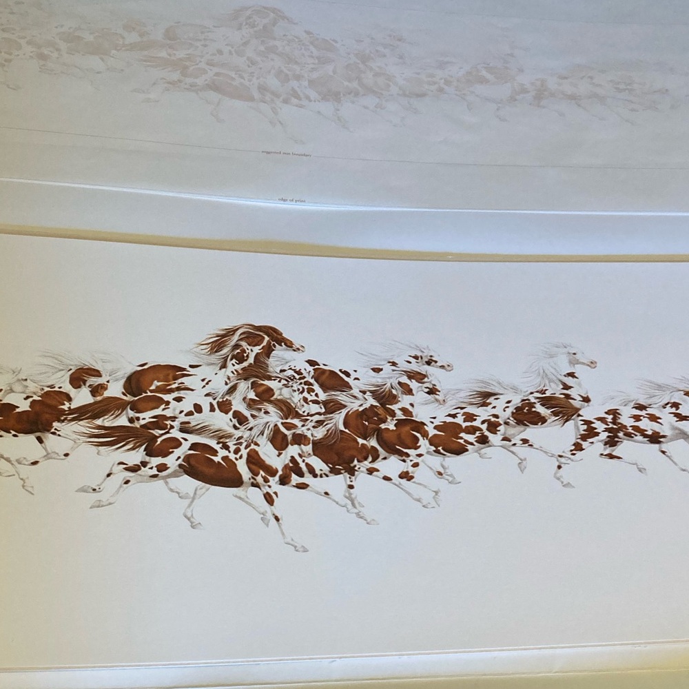 Bev Doolittle When the Wind Had Wings signed and numbered print 35801